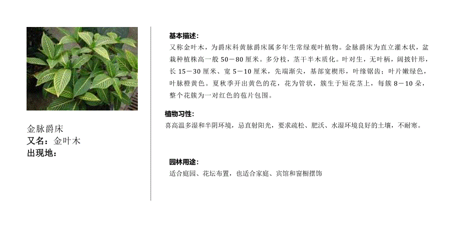 园林植物学笔记2观叶类_第2页