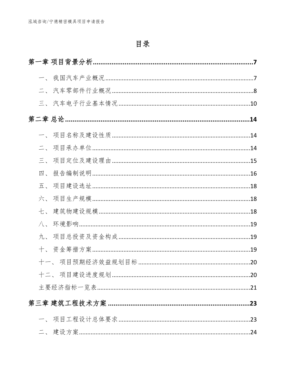 宁德精密模具项目申请报告_模板范文_第1页