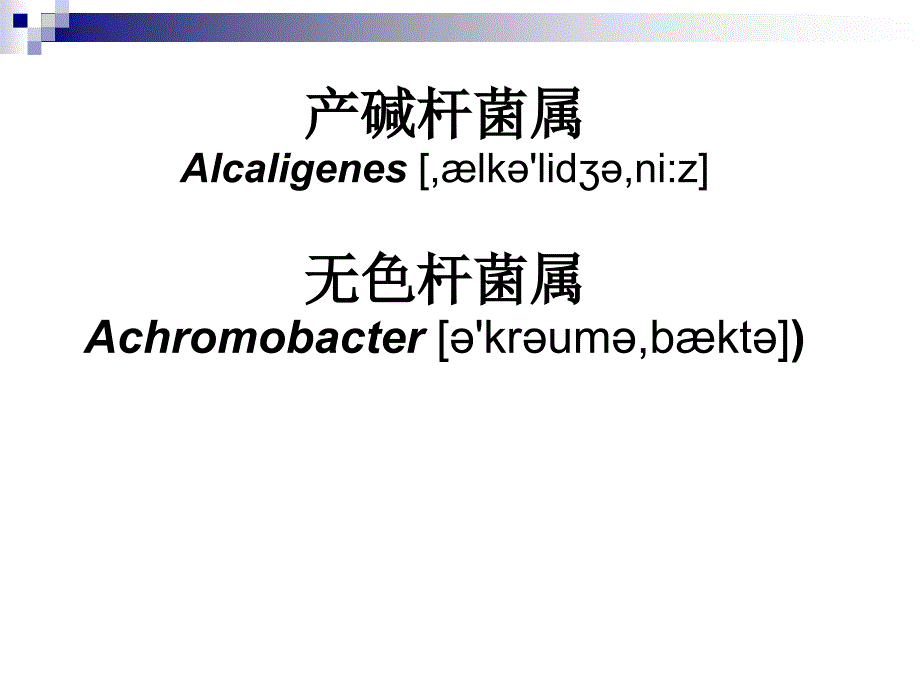 临床微生物学检验：产碱杆菌属和莫拉菌属_第1页