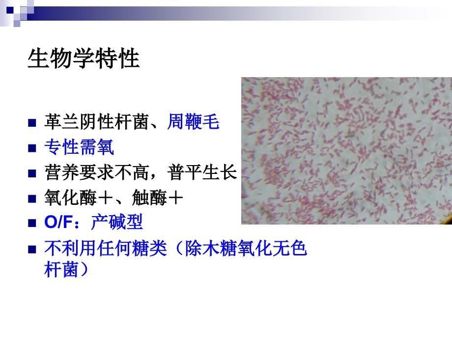 临床微生物学检验：产碱杆菌属和莫拉菌属_第5页