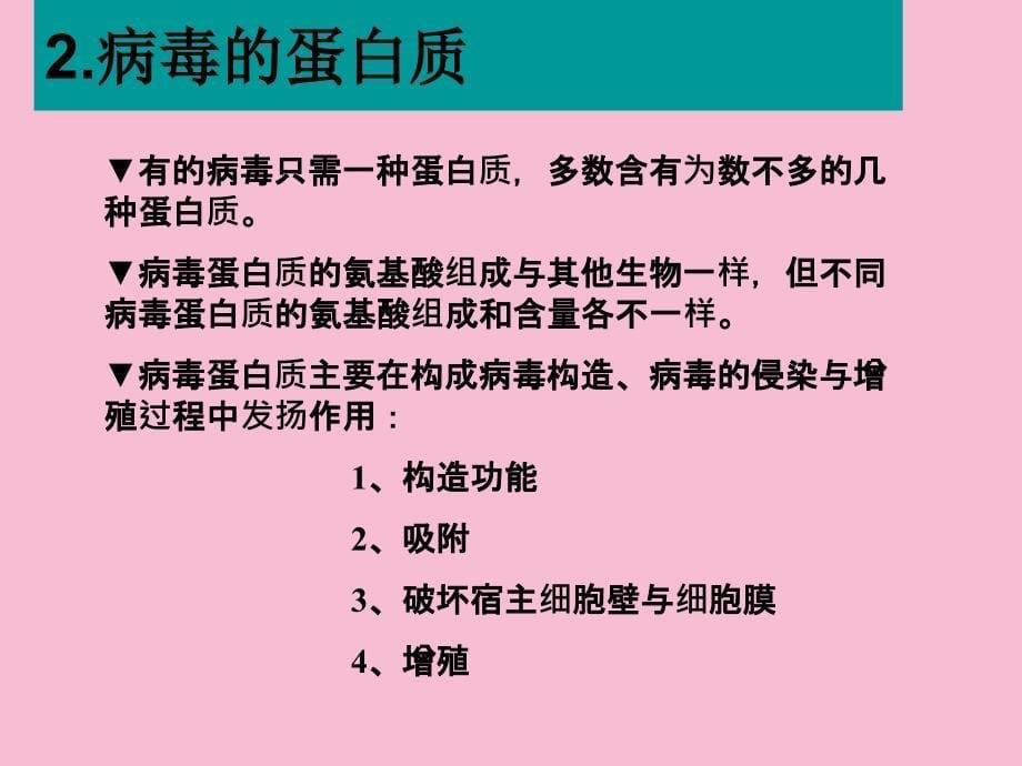 病毒的化学组成ppt课件_第5页