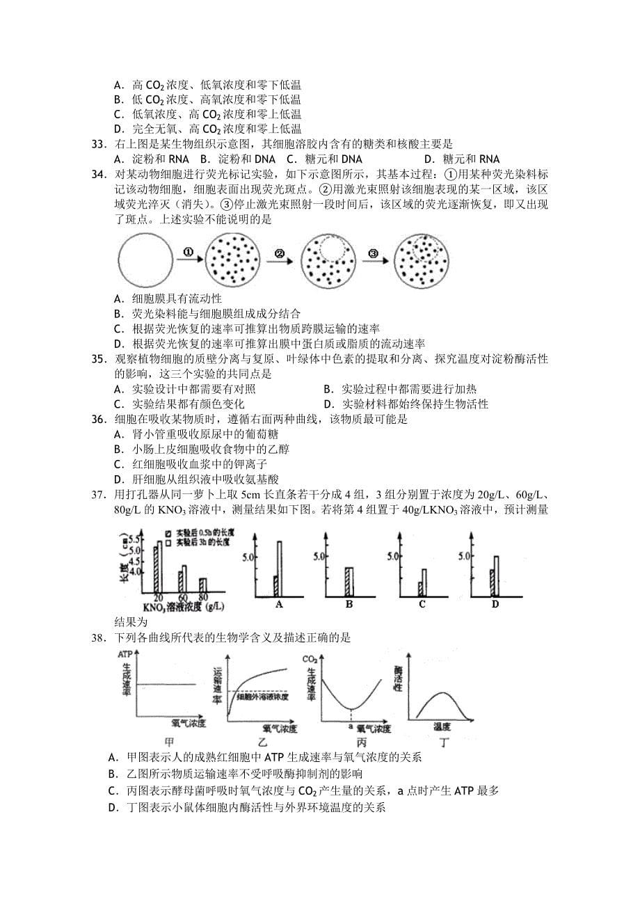 浙江省杭州市七校2010-2011学年高二生物上学期期中联考试题浙科版_第5页