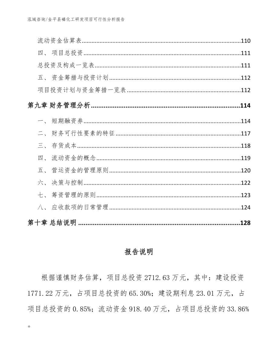 金平县磷化工研发项目可行性分析报告_模板范文_第5页