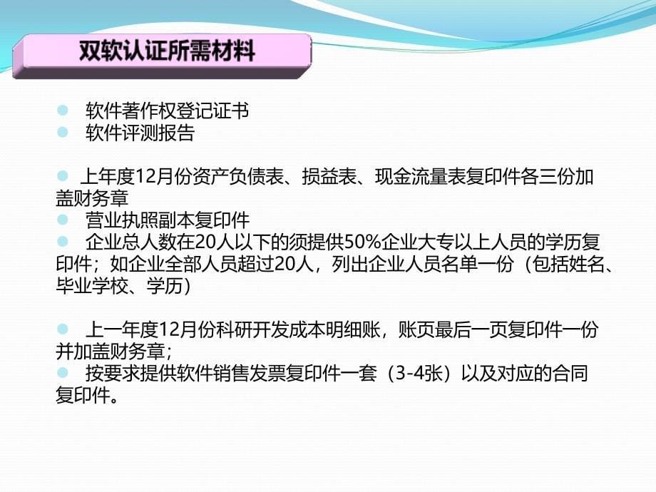 软件公司资质资料_第5页