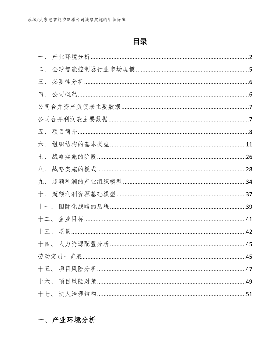 大家电智能控制器公司战略实施的组织保障_第2页