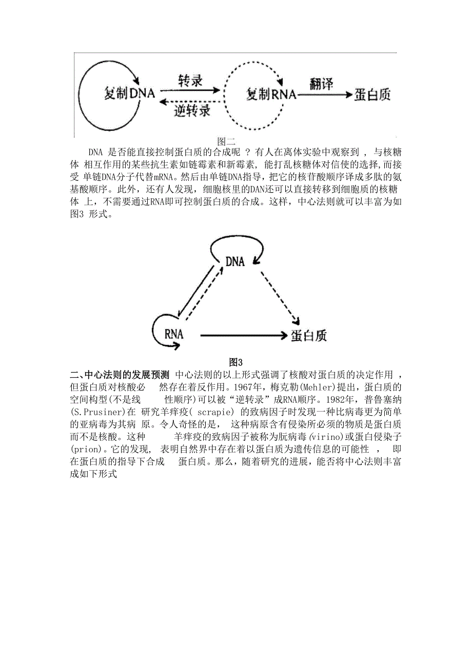 中心法则的修正与发展内容_第2页