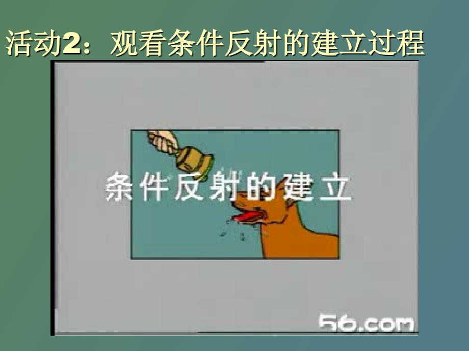 条件反射的形成_第4页