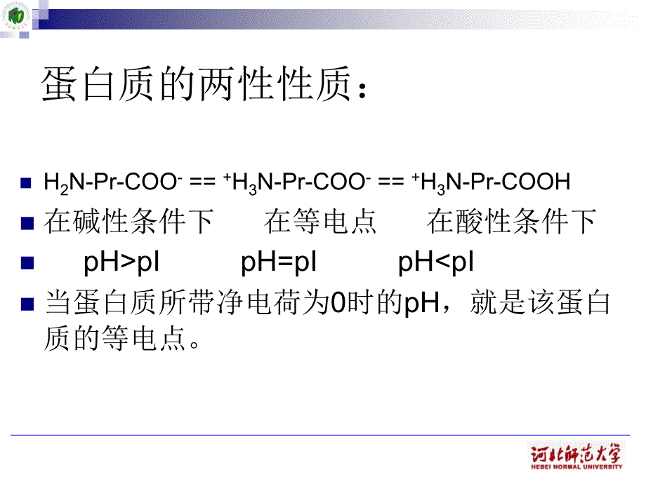 《蛋白质与核酸》PPT课件_第4页