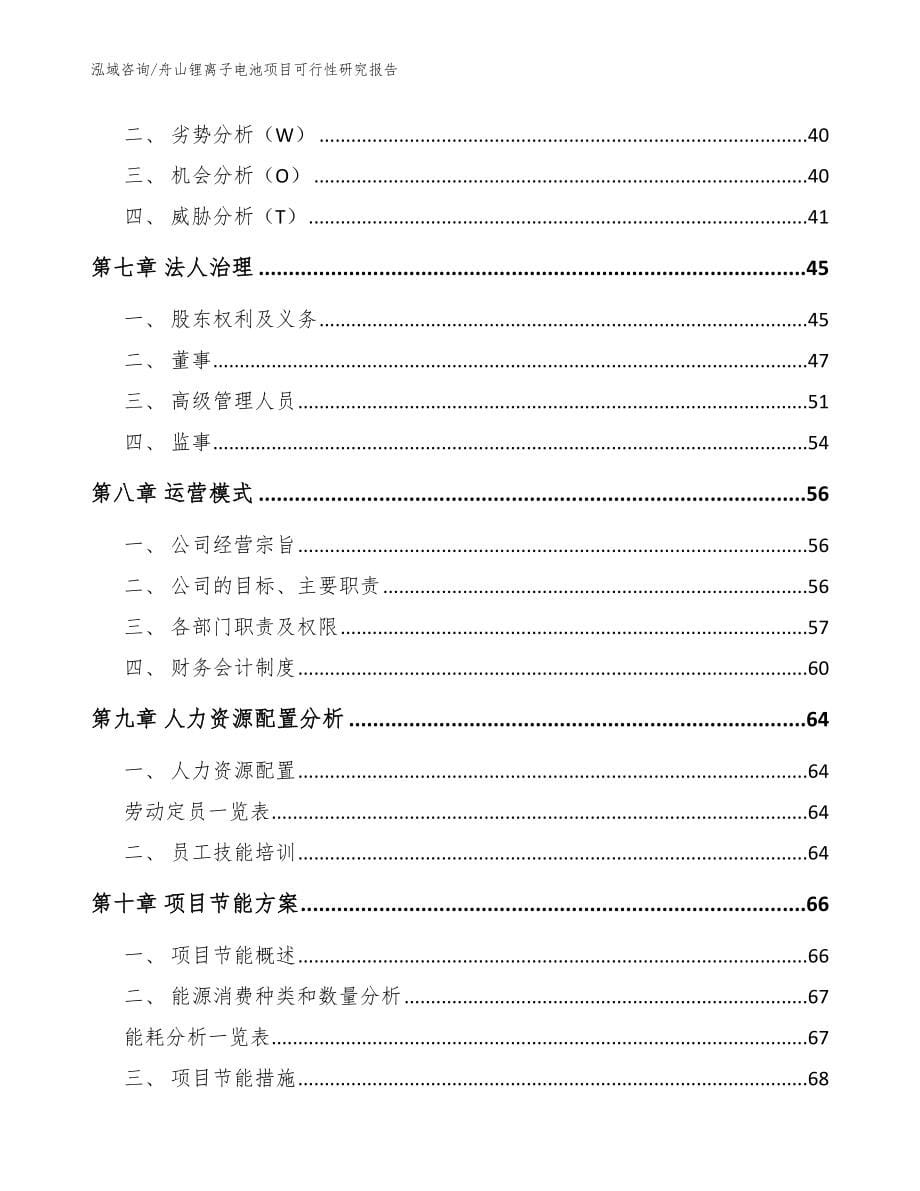 舟山锂离子电池项目可行性研究报告_范文_第5页