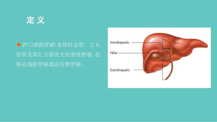 肝门部胆管癌的分型与手术策略_第3页