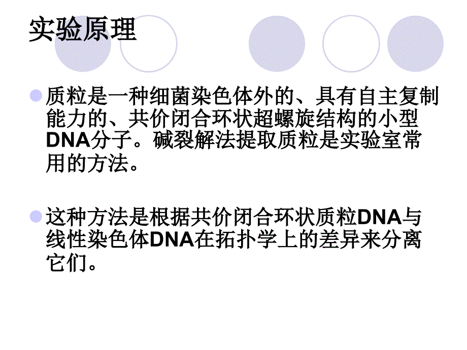 实验一-质粒DNA的提取-课件_第4页