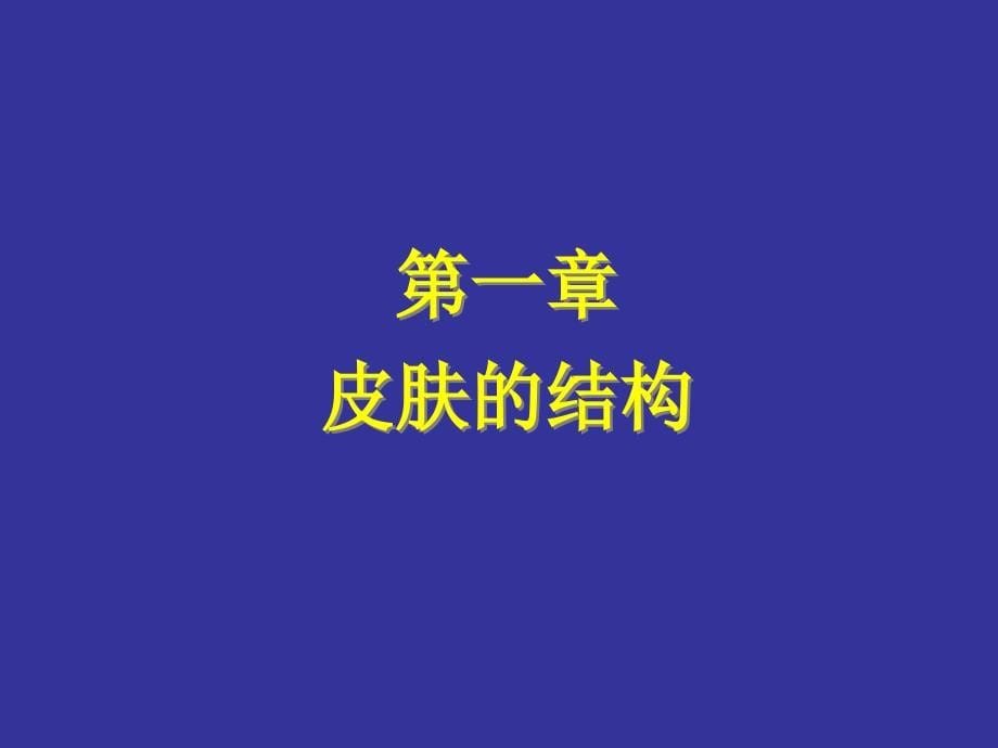 上海交通大学皮肤病与性病学课件第十一讲皮肤病学总论_第5页