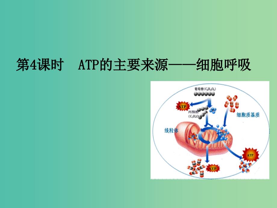 高中生物 第5章 第3节 ATP的主要来源-细胞呼吸课件 新人教版必修1.ppt_第1页