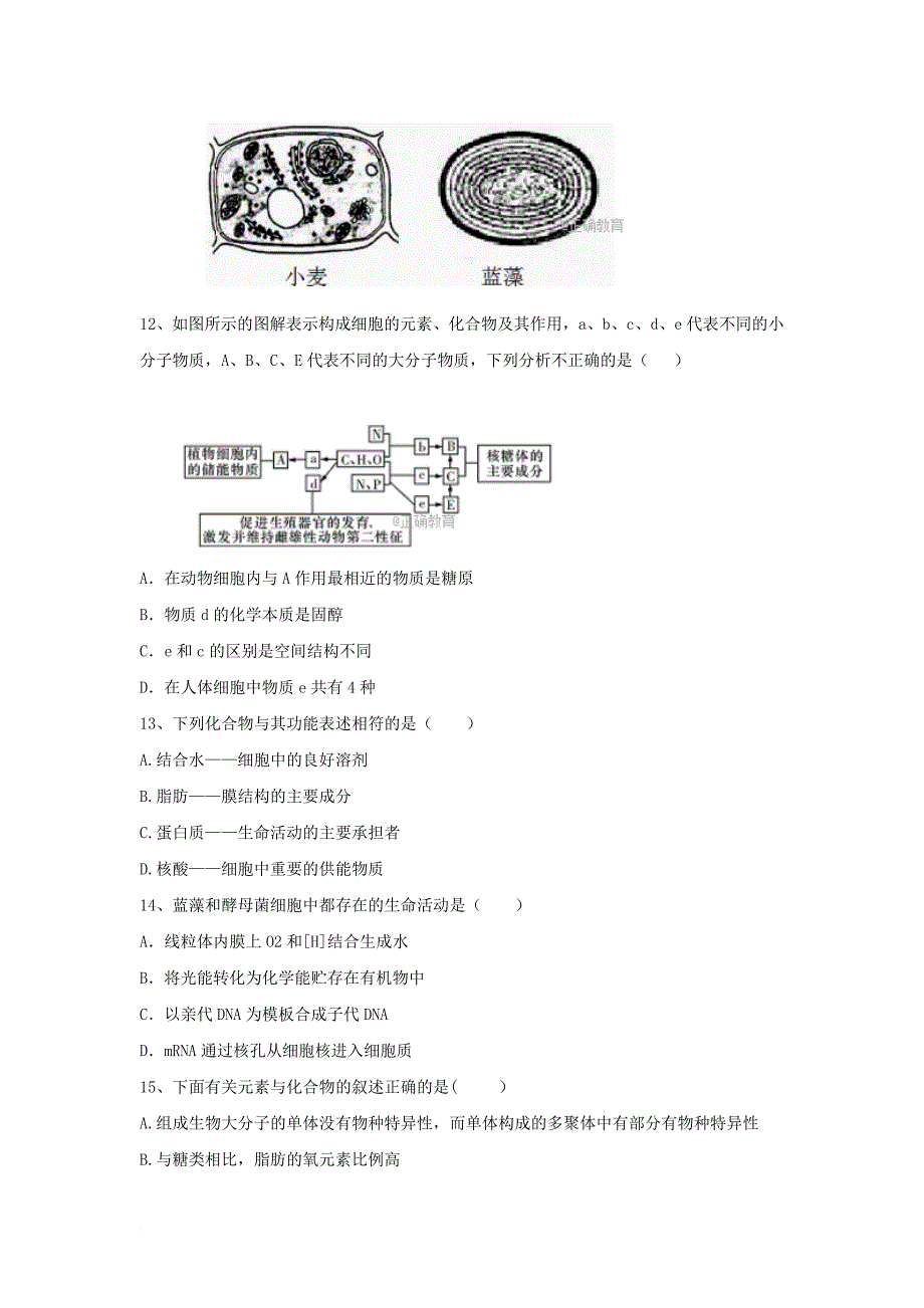 内蒙古包头市高一生物10月阶段性测试试题无答案_第3页