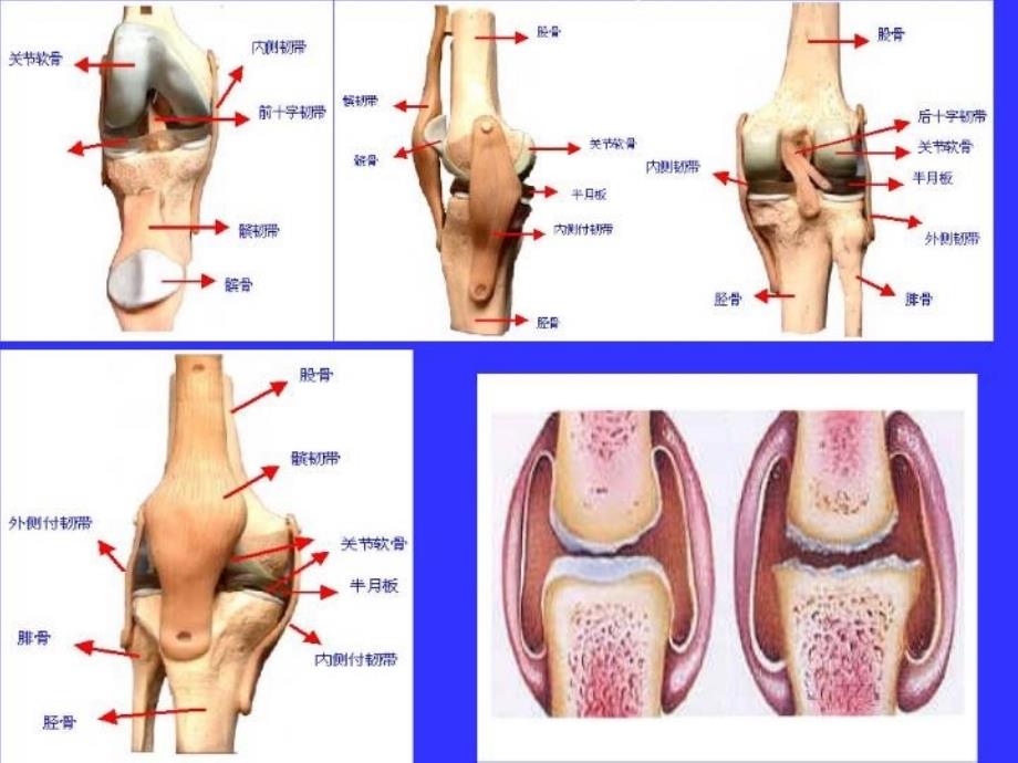 中医结合治疗膝关节骨性关节炎_第4页