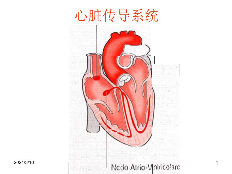 学习心电图窍门及ICU病人常见心电图特点_第4页