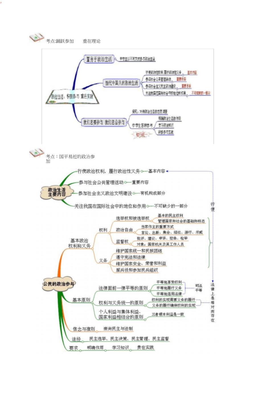 思维导图政治生活部分_第3页