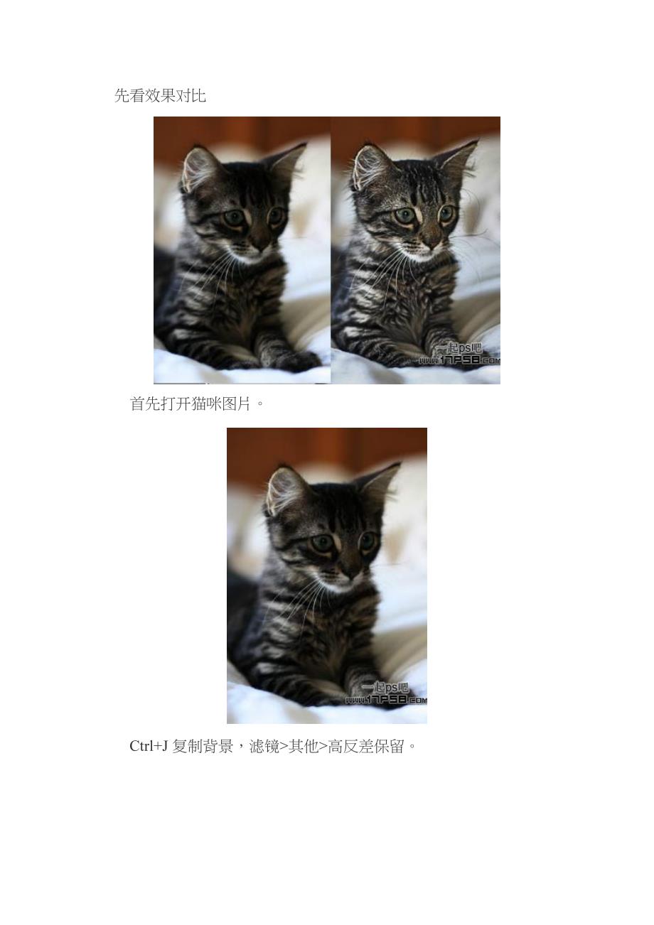 photoshop巧用滤镜工具提升猫咪图片的清晰度教程_第1页