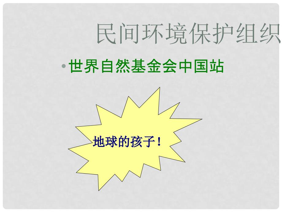 高中地理 第五章 环境管理及公众参与 5.3 公众参与1课件 新人教版选修6_第4页