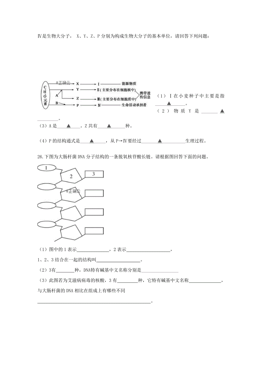 山东省济宁市第二中学2023学年高一生物上学期第一次月考试题无答案.doc_第4页