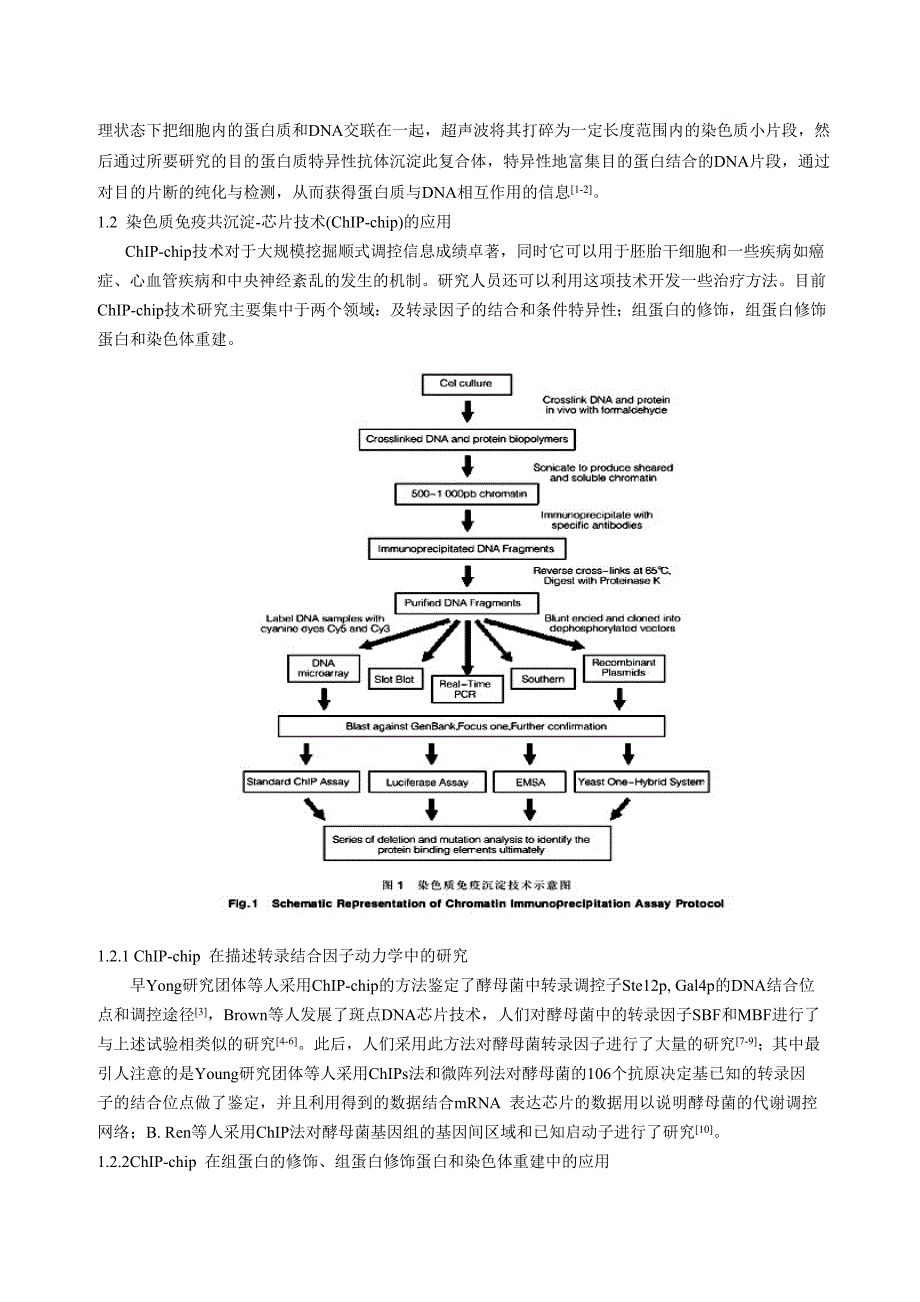 染色质免疫共沉淀技术(ChIP).doc_第2页