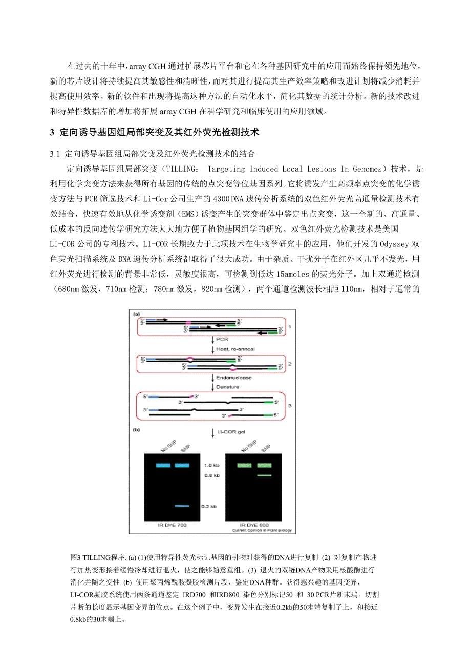 染色质免疫共沉淀技术(ChIP).doc_第5页