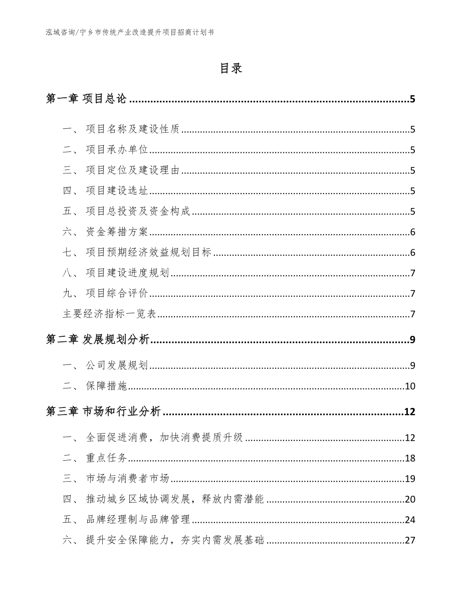 宁乡市传统产业改造提升项目招商计划书参考模板_第1页