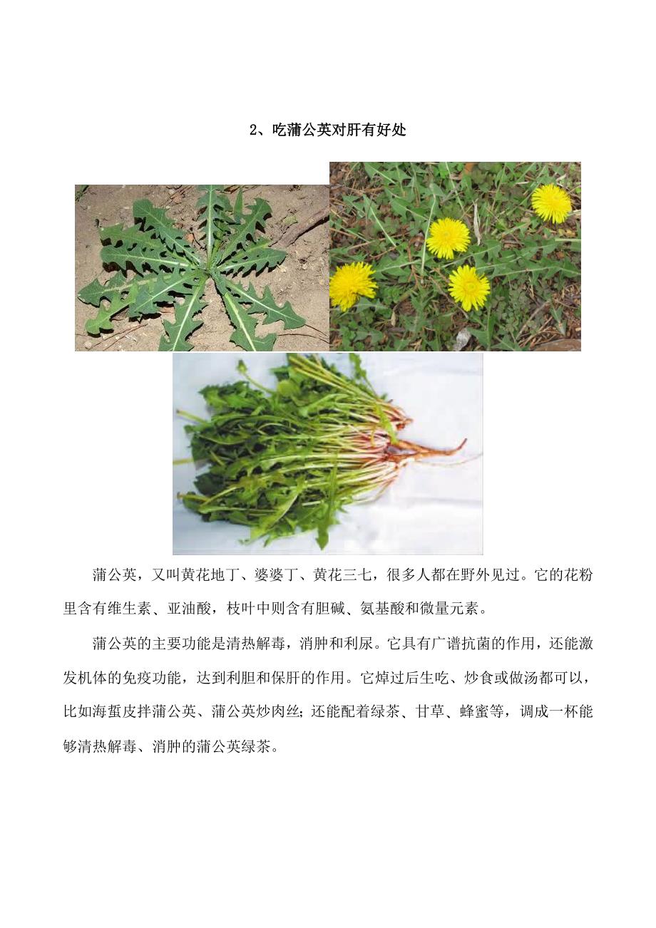 治病的9种野菜.doc_第2页