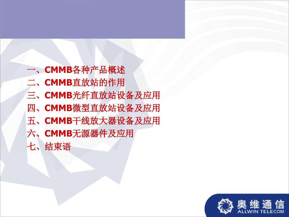 CMMB产品培训资料_第2页