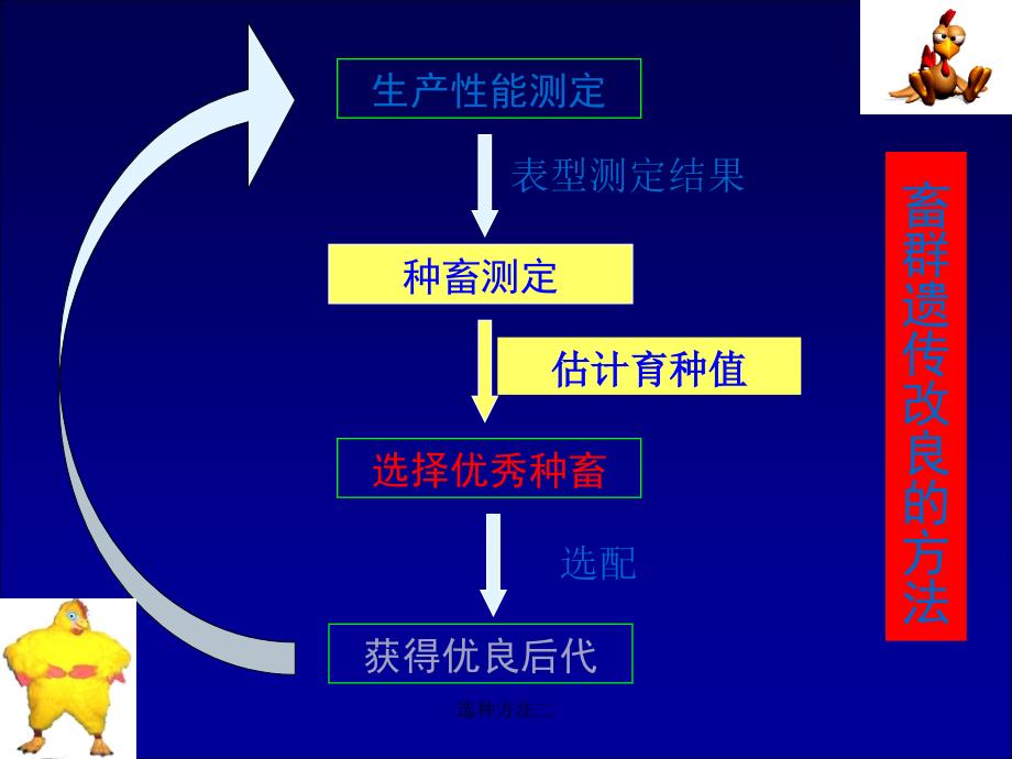 选种方法二课件_第3页