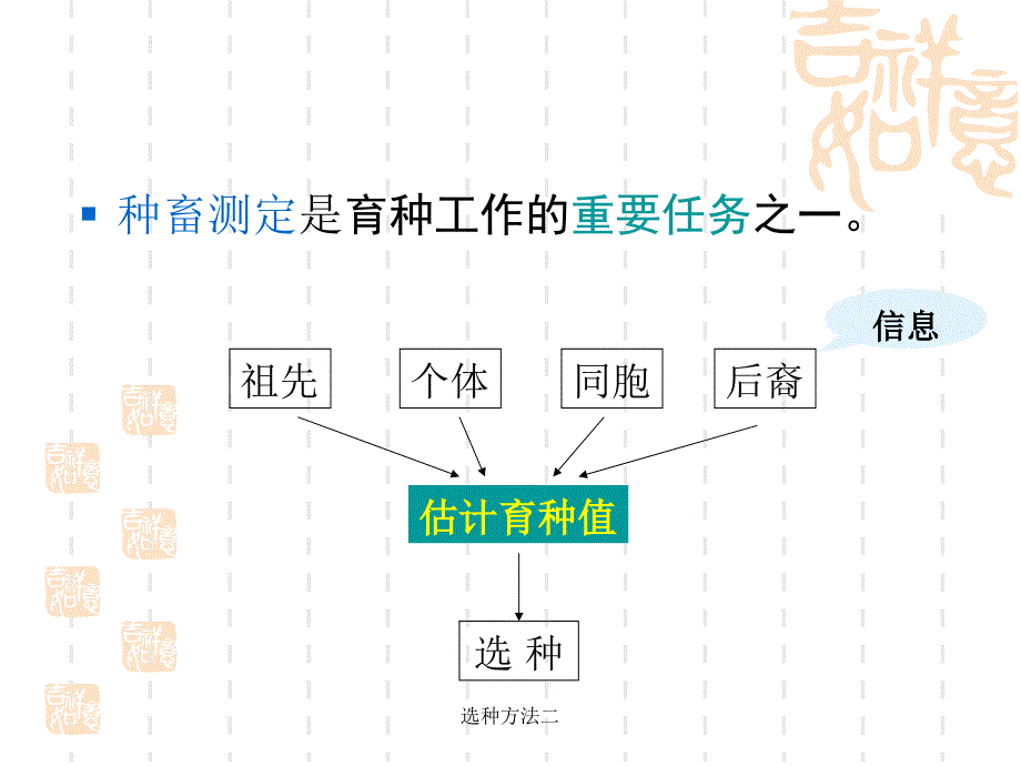 选种方法二课件_第4页