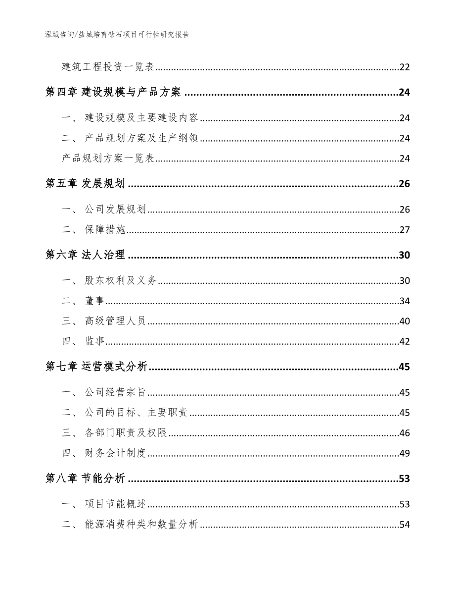 盐城培育钻石项目可行性研究报告【模板参考】_第3页