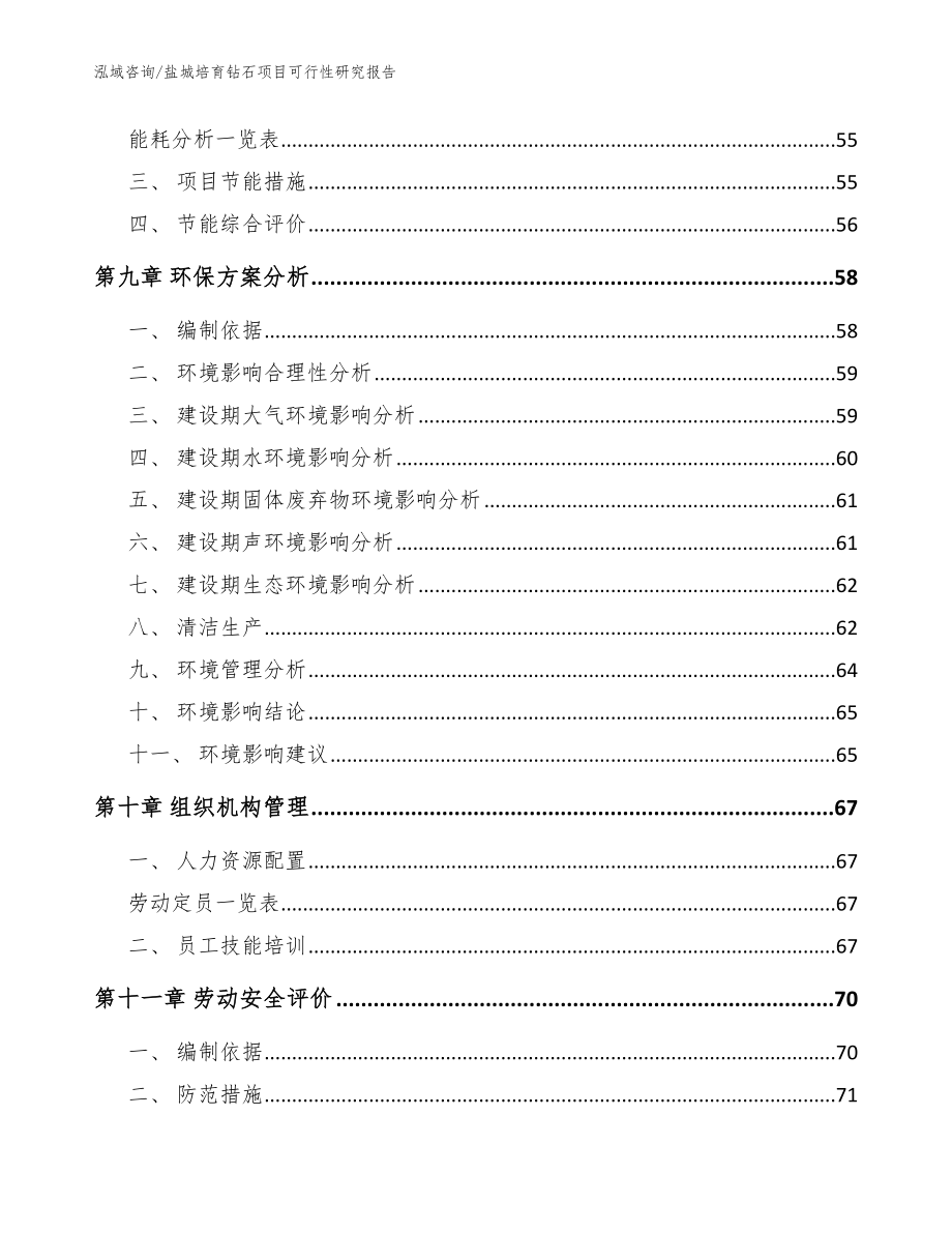 盐城培育钻石项目可行性研究报告【模板参考】_第4页