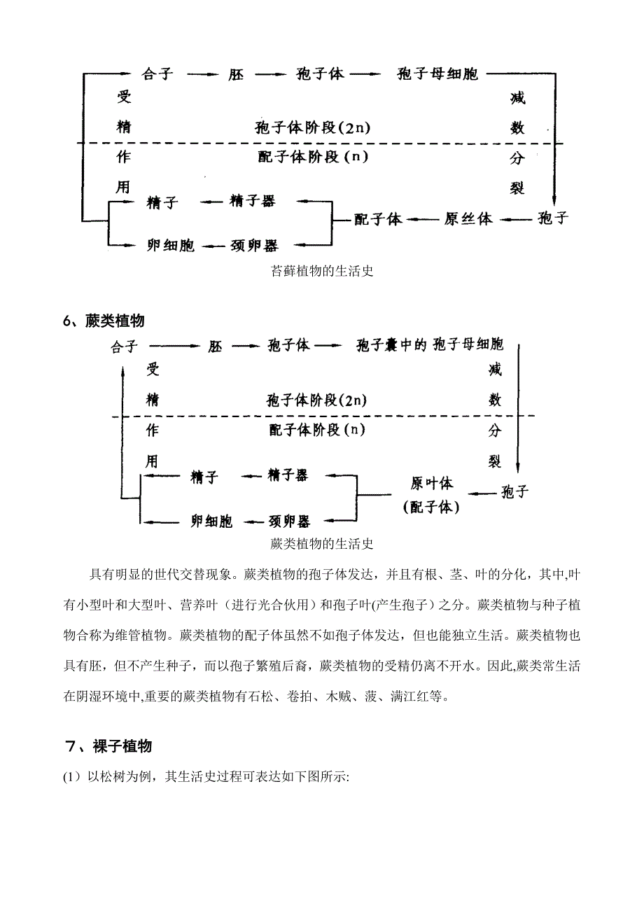 植物学中的各种图表_第4页