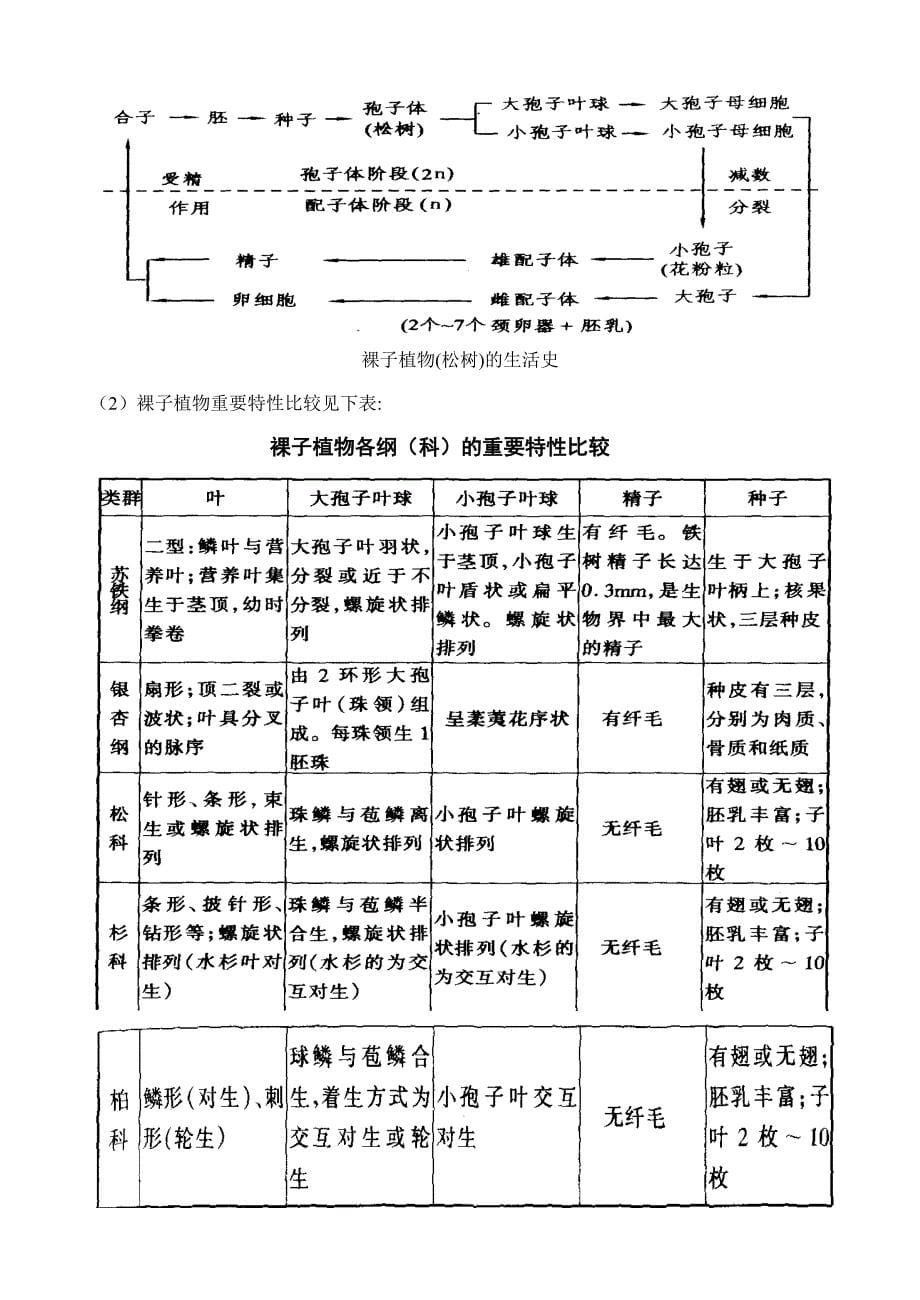 植物学中的各种图表_第5页