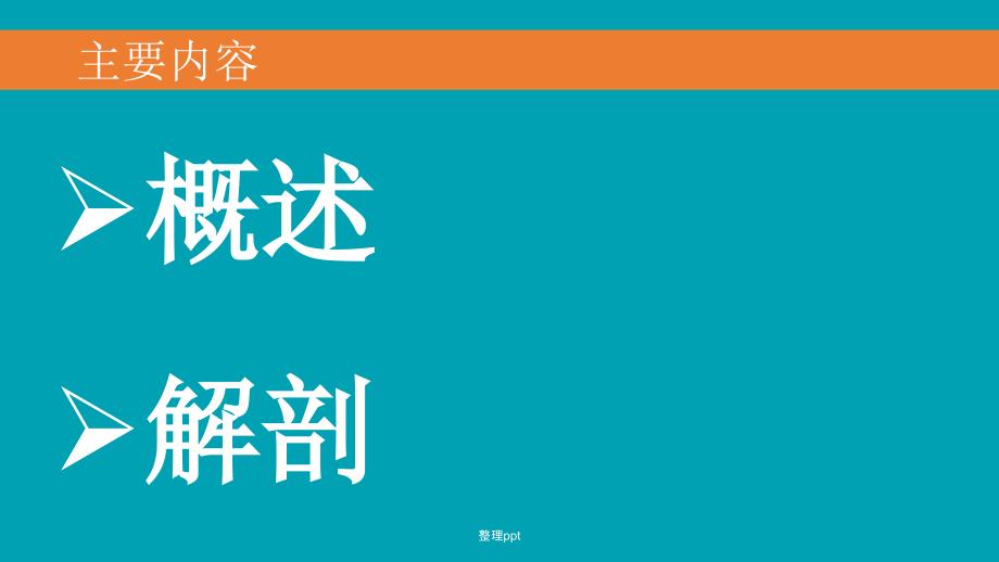 腹腔镜下肾盂输尿管成形术ppt课件_第2页