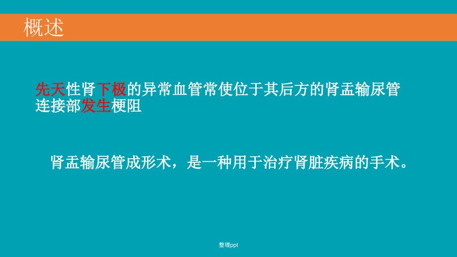 腹腔镜下肾盂输尿管成形术ppt课件_第3页