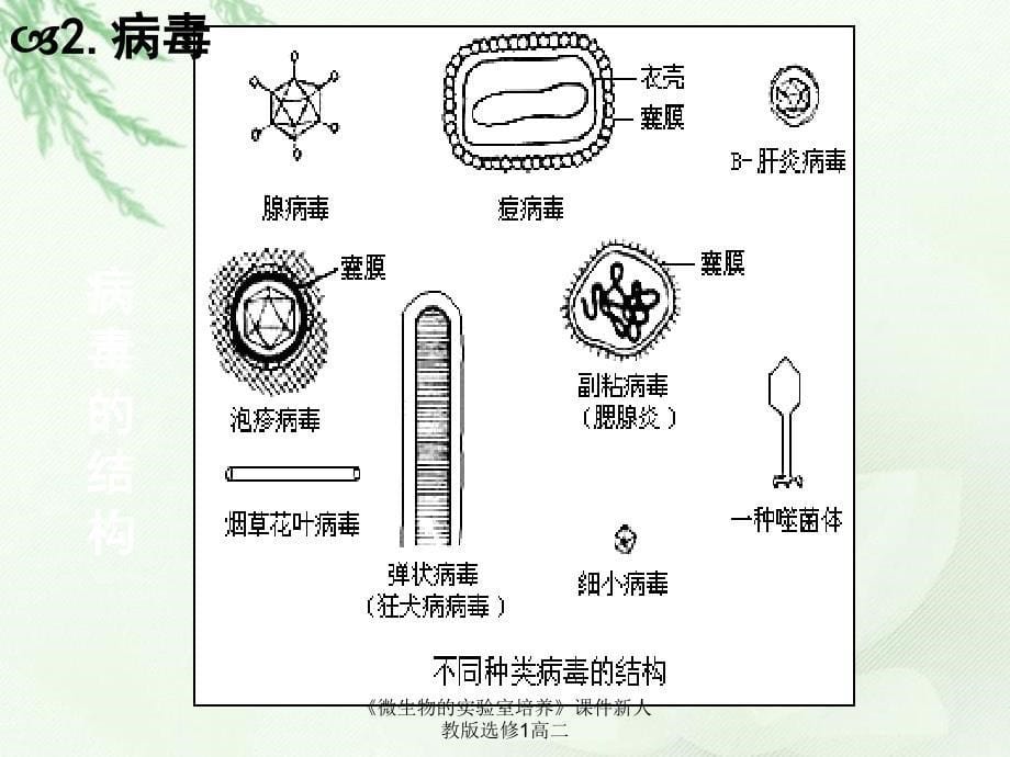 微生物的实验室培养课件新人教版选修1高二课件_第5页