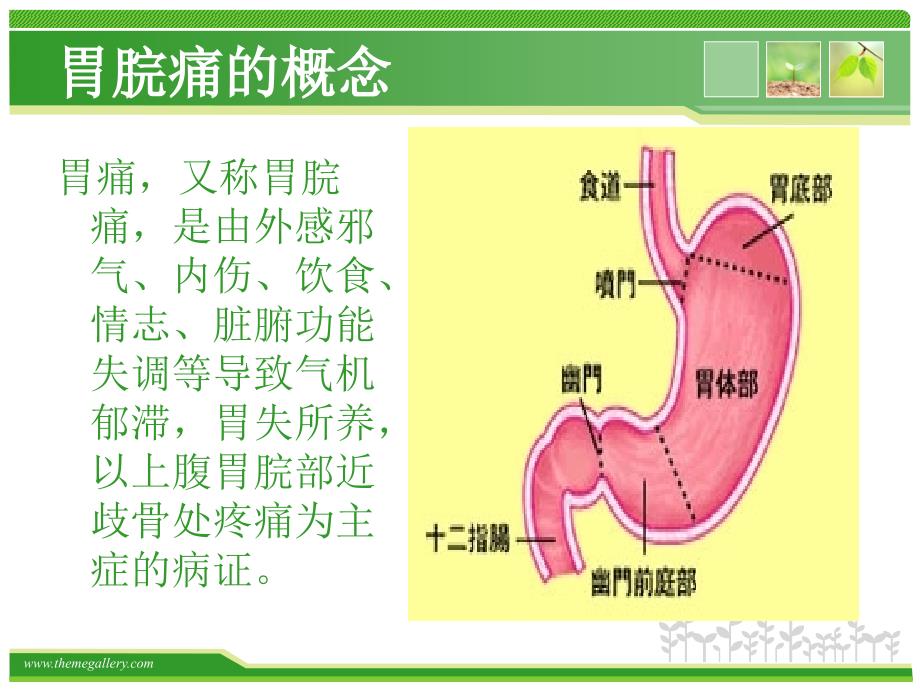 胃脘痛中医护理查房_第2页