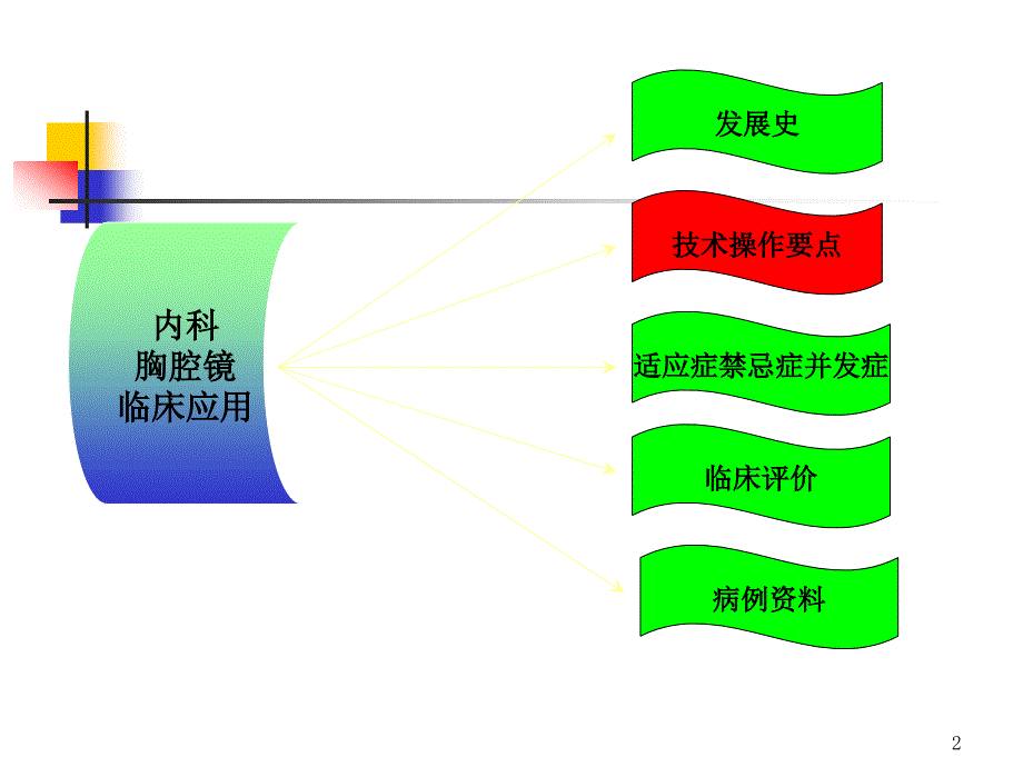 内科胸腔镜ppt课件_第2页