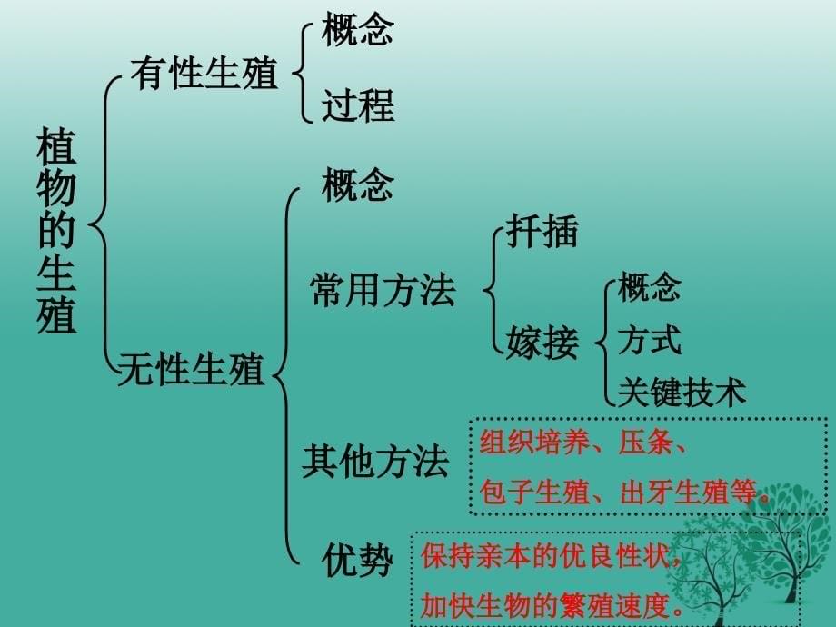 八年级生物下册 第七单元 第一章 第一节 植物的生殖课件 新人教版_第5页