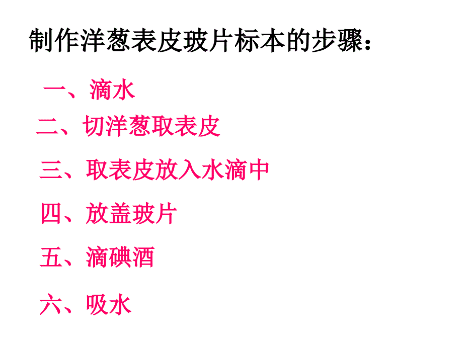 用显微镜观察身边的生命世界(二)2_第2页