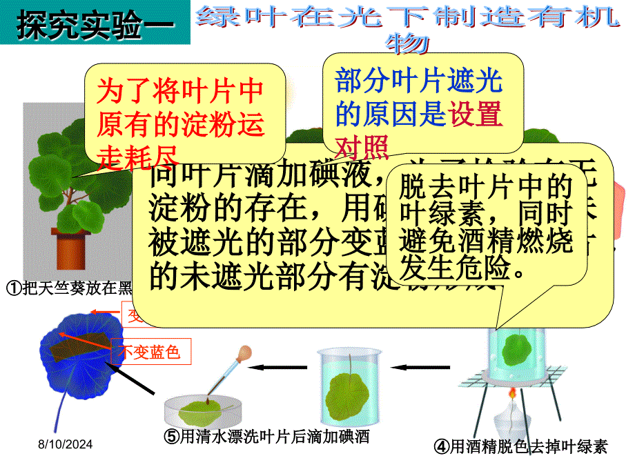 光合作用与呼吸作用复习课件 (2)_第2页