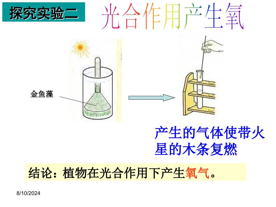 光合作用与呼吸作用复习课件 (2)_第4页