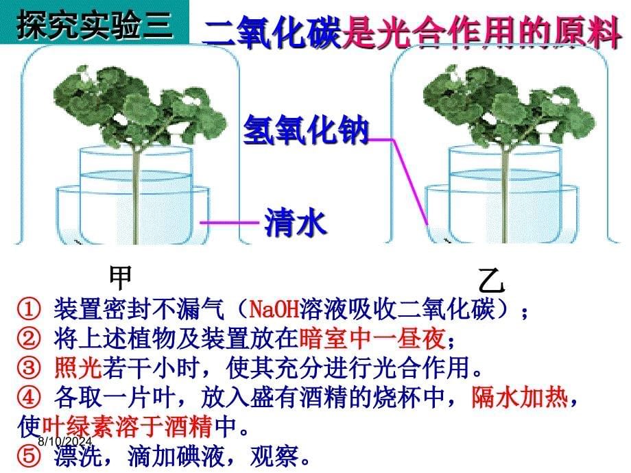 光合作用与呼吸作用复习课件 (2)_第5页