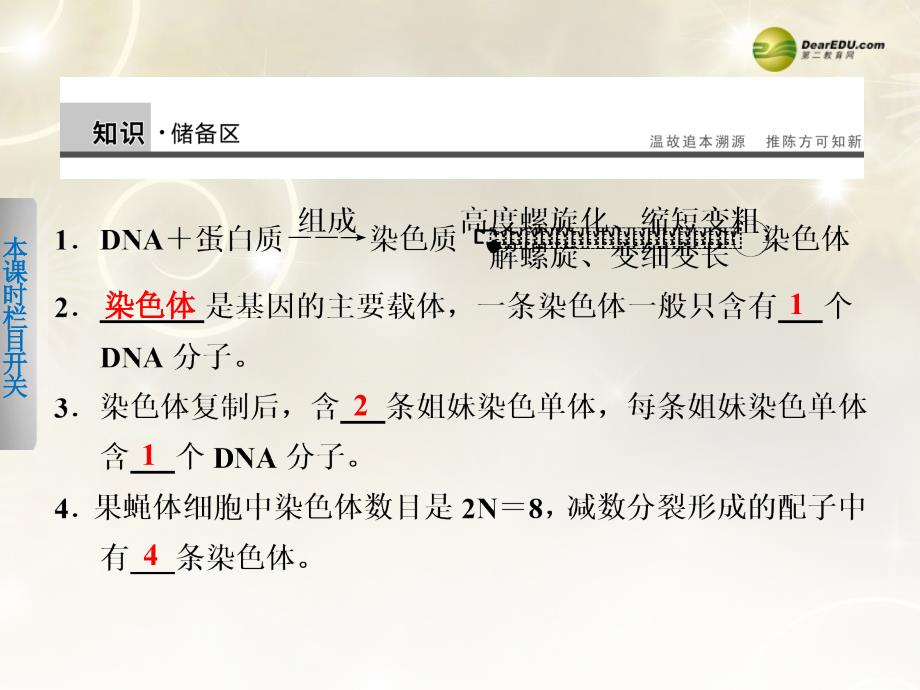 7染色体变异及其应用课件苏教版必修2_第2页