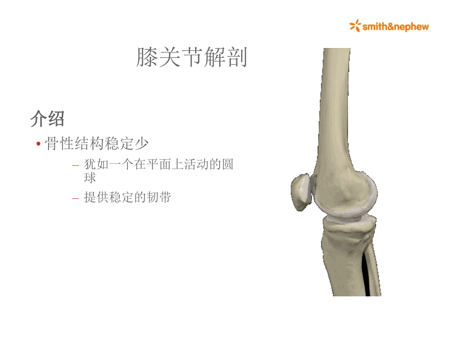 膝关节解剖ppt课件_第2页