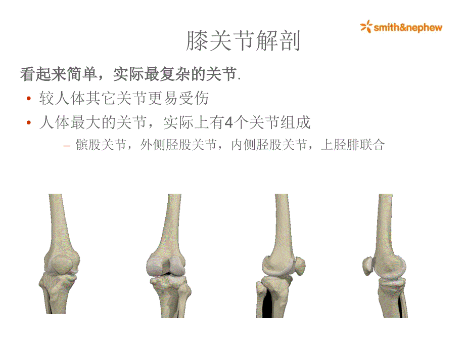 膝关节解剖ppt课件_第3页