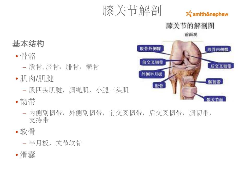 膝关节解剖ppt课件_第4页