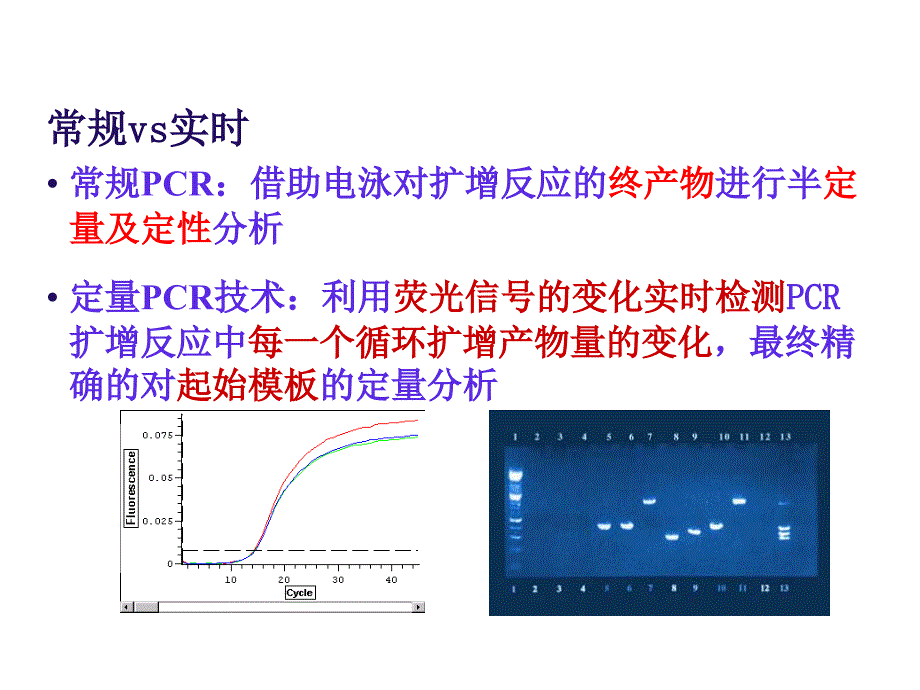 实时荧光定量PCR技术全面分析课件_第4页